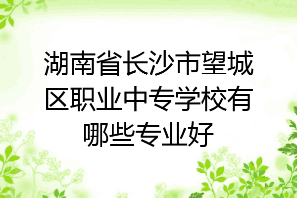 湖南省长沙市望城区职业中专学校有哪些专业好