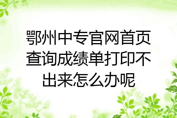 鄂州中专官网首页查询成绩单打印不出来怎么办呢