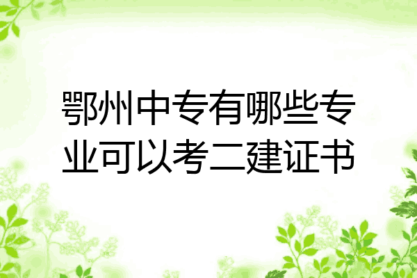 鄂州中专有哪些专业可以考二建证书