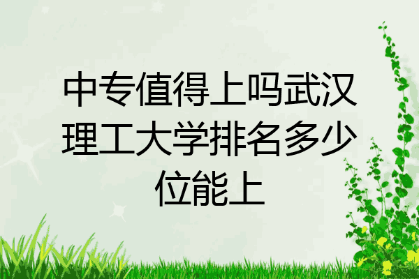 中专值得上吗武汉理工大学排名多少位能上