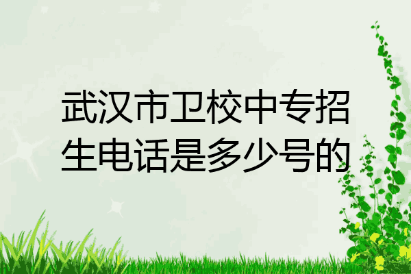 武汉市卫校中专招生电话是多少号的