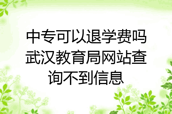 中专可以退学费吗武汉教育局网站查询不到信息