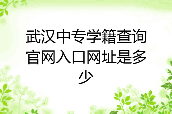 武汉中专学籍查询官网入口网址是多少
