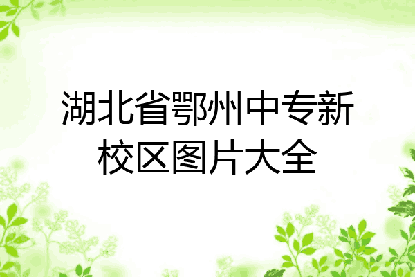 湖北省鄂州中专新校区图片大全