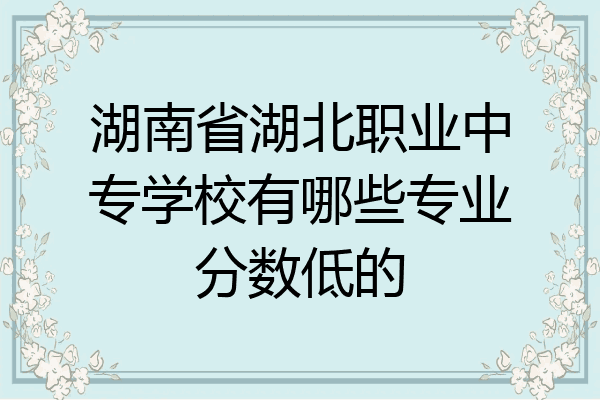 湖南省湖北职业中专学校有哪些专业分数低的
