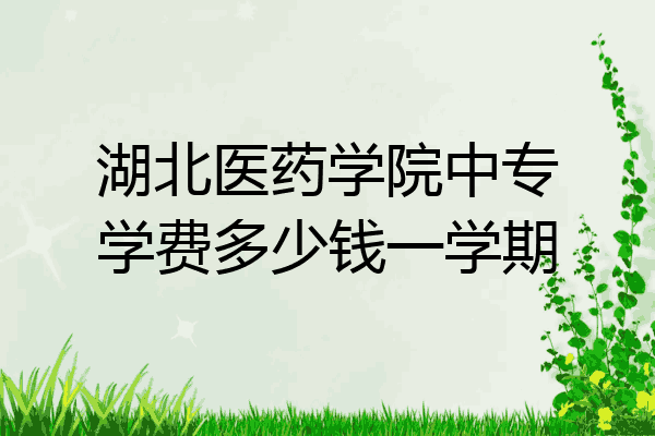 湖北医药学院中专学费多少钱一学期
