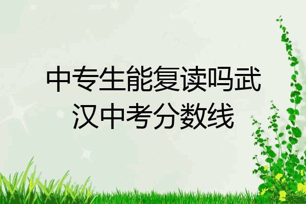 中专生能复读吗武汉中考分数线