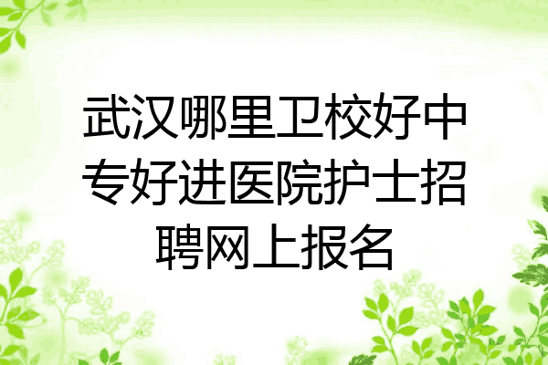 武汉哪里卫校好中专好进医院护士招聘网上报名