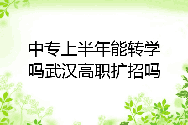 中专上半年能转学吗武汉高职扩招吗