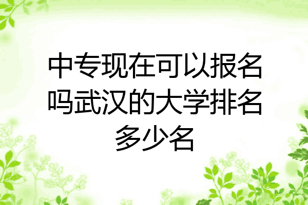 中专现在可以报名吗武汉的大学排名多少名