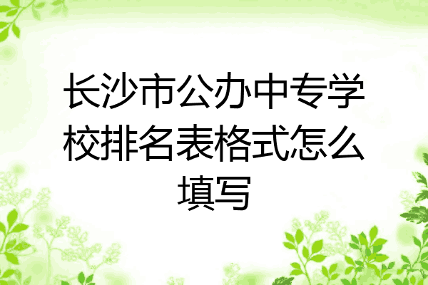 长沙市公办中专学校排名表格式怎么填写