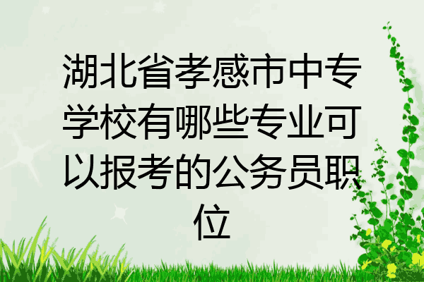 湖北省孝感市中专学校有哪些专业可以报考的公务员职位