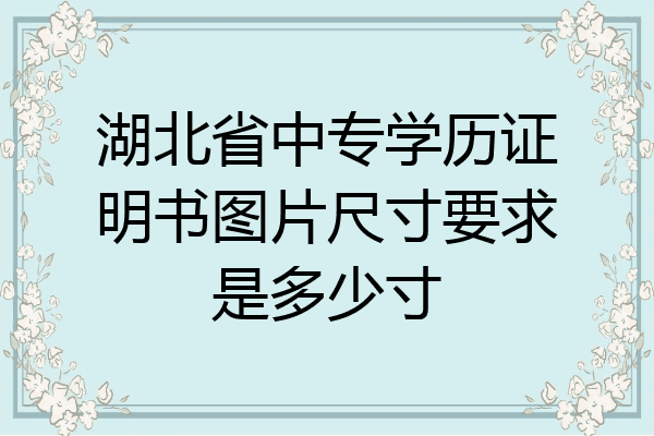 湖北省中专学历证明书图片尺寸要求是多少寸
