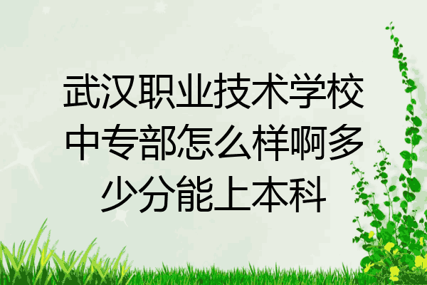 武汉职业技术学校中专部怎么样啊多少分能上本科