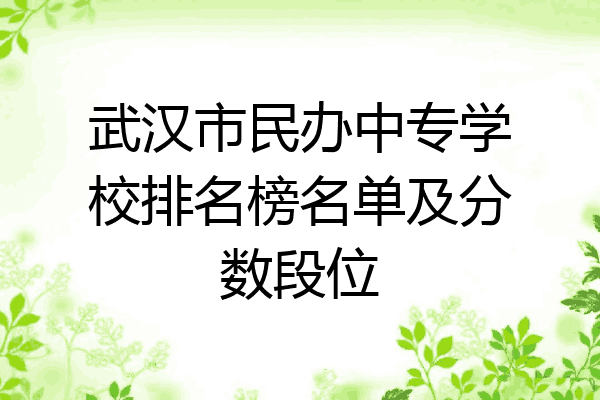 武汉市民办中专学校排名榜名单及分数段位