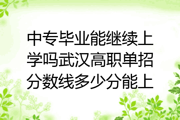 中专毕业能继续上学吗武汉高职单招分数线多少分能上