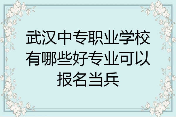 武汉中专职业学校有哪些好专业可以报名当兵