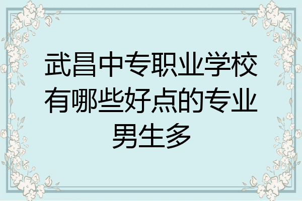 武昌中专职业学校有哪些好点的专业男生多