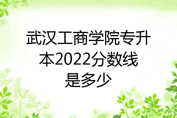 武汉工商学院专升本2022分数线是多少