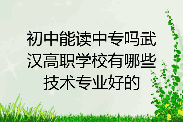 初中能读中专吗武汉高职学校有哪些技术专业好的