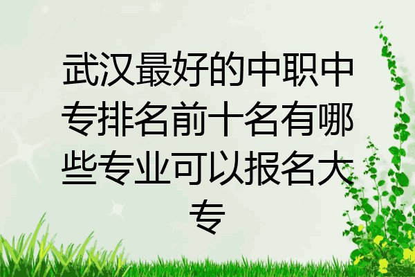 武汉最好的中职中专排名前十名有哪些专业可以报名大专