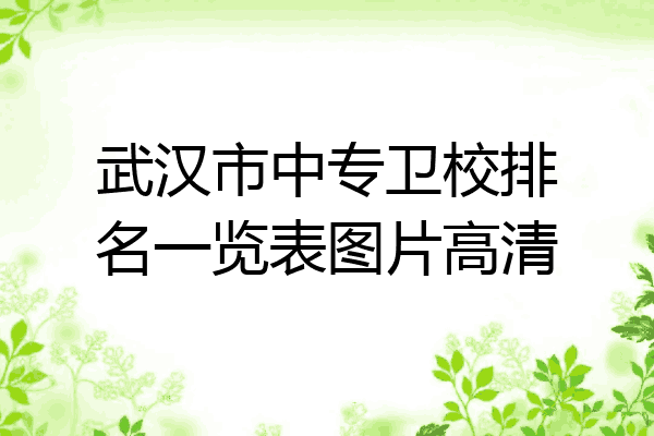武汉市中专卫校排名一览表图片高清
