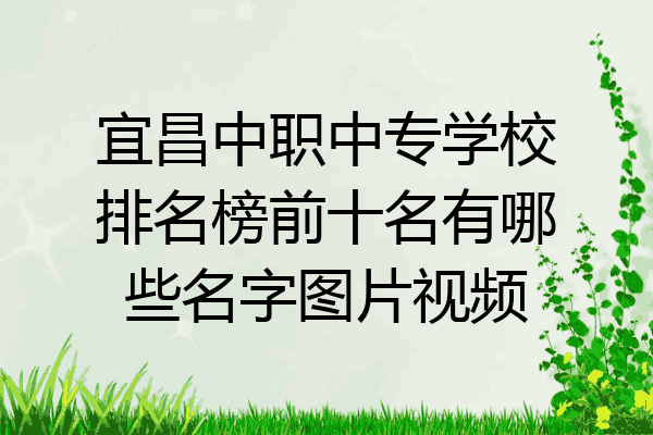 宜昌中职中专学校排名榜前十名有哪些名字图片视频