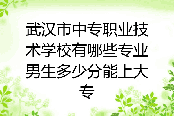 武汉市中专职业技术学校有哪些专业男生多少分能上大专