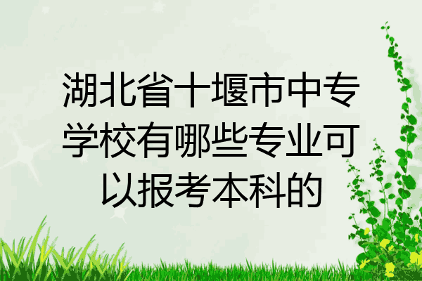 湖北省十堰市中专学校有哪些专业可以报考本科的