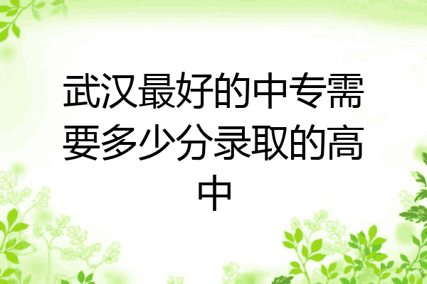 武汉最好的中专需要多少分录取的高中