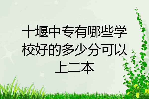 十堰中专有哪些学校好的多少分可以上二本