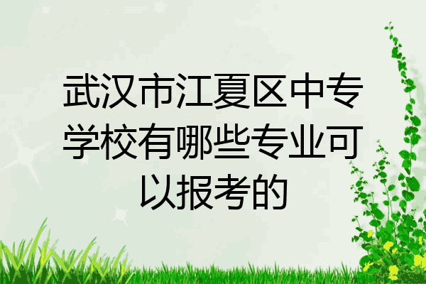 武汉市江夏区中专学校有哪些专业可以报考的