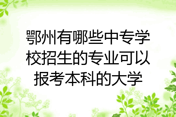 鄂州有哪些中专学校招生的专业可以报考本科的大学