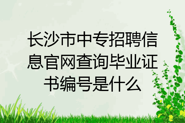 长沙市中专招聘信息官网查询毕业证书编号是什么