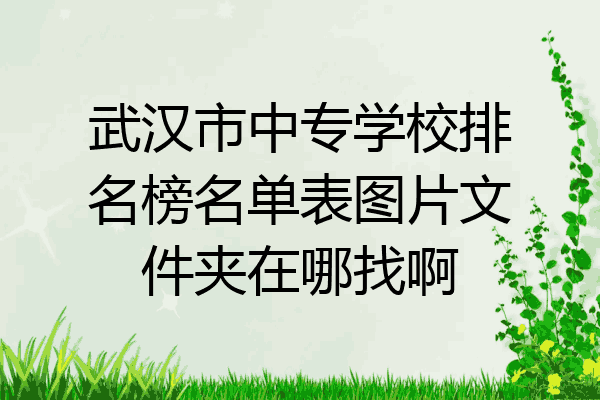 武汉市中专学校排名榜名单表图片文件夹在哪找啊