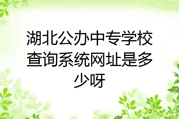 湖北公办中专学校查询系统网址是多少呀