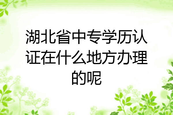 湖北省中专学历认证在什么地方办理的呢