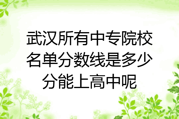 武汉所有中专院校名单分数线是多少分能上高中呢