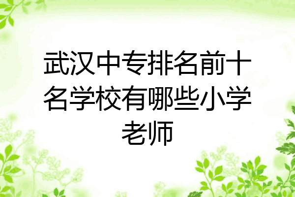 武汉中专排名前十名学校有哪些小学老师
