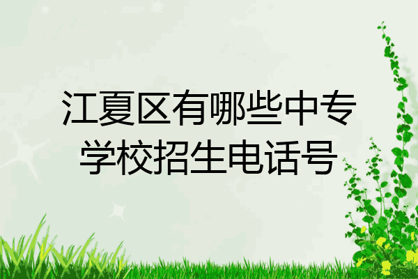 江夏区有哪些中专学校招生电话号