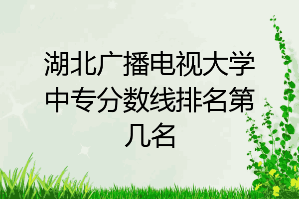湖北广播电视大学中专分数线排名第几名