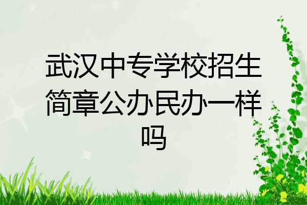 武汉中专学校招生简章公办民办一样吗