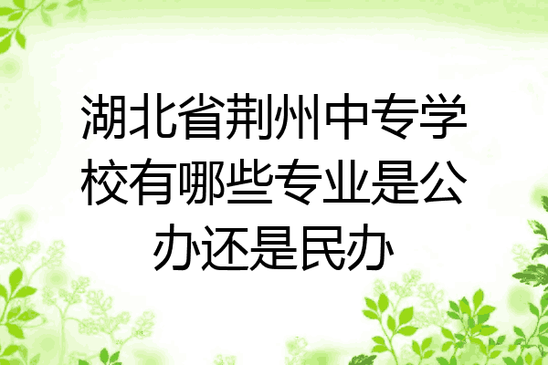 湖北省荆州中专学校有哪些专业是公办还是民办