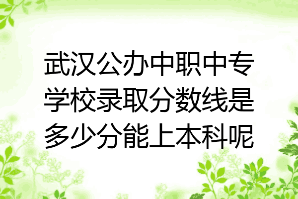 武汉公办中职中专学校录取分数线是多少分能上本科呢