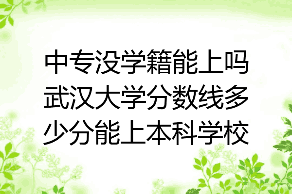 中专没学籍能上吗武汉大学分数线多少分能上本科学校