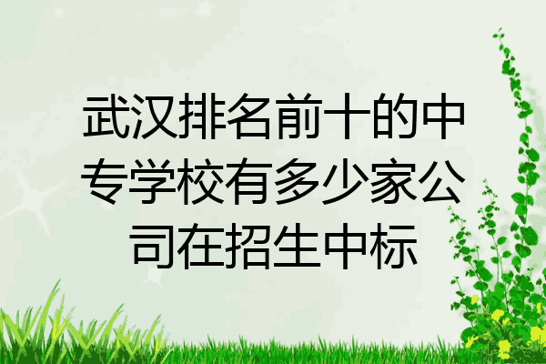 武汉排名前十的中专学校有多少家公司在招生中标