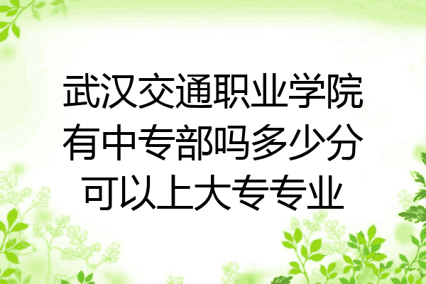 武汉交通职业学院有中专部吗多少分可以上大专专业