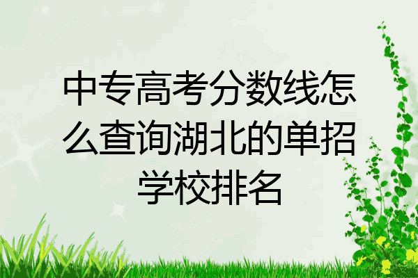 中专高考分数线怎么查询湖北的单招学校排名
