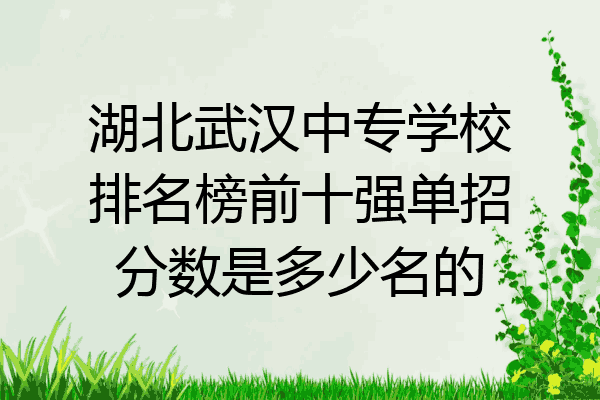 湖北武汉中专学校排名榜前十强单招分数是多少名的