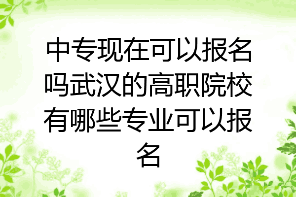 中专现在可以报名吗武汉的高职院校有哪些专业可以报名